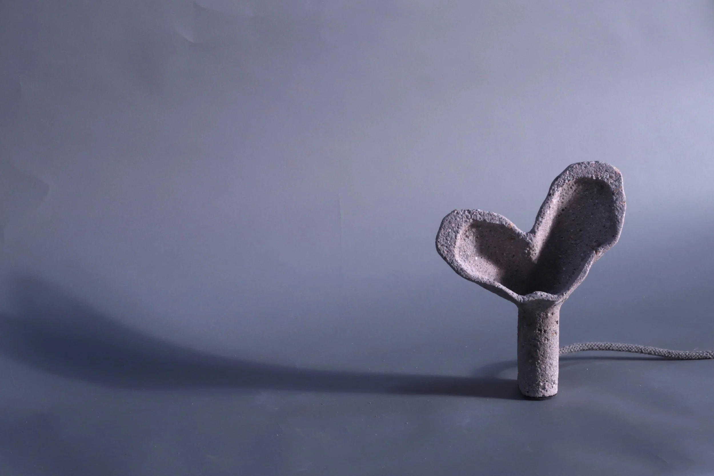 “CTRL + NATURE” - 25 cm [0138]