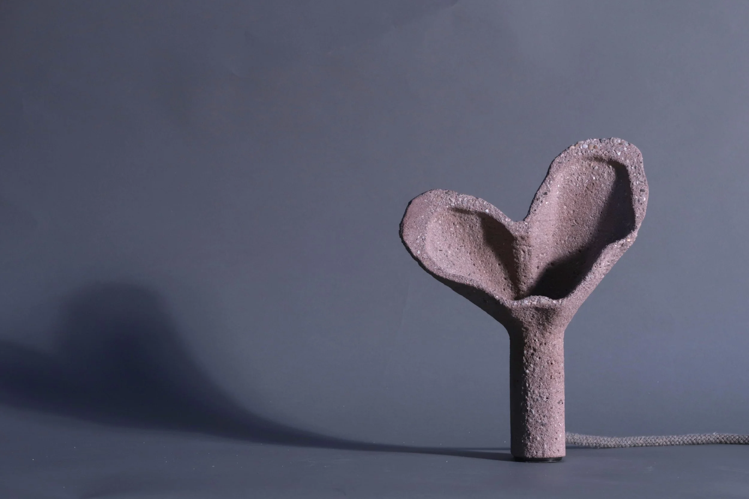 “CTRL + NATURE” - 25 cm [0137]