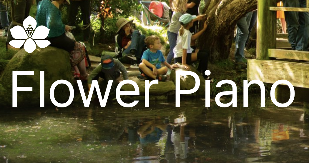 Flower Piano with Diana Gameros
