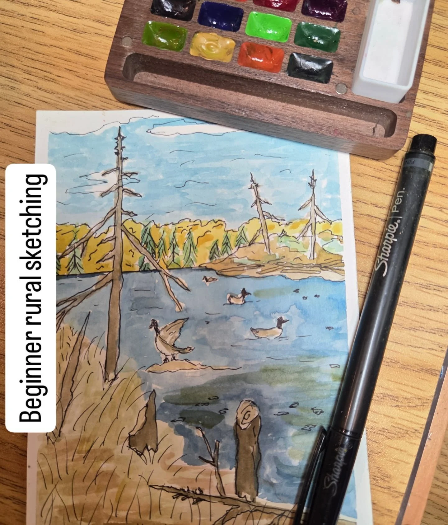 Trying rural sketching with watercolor. It's always good to try something new. I am a beginner, but do you know that practice is just what you need to get better. What a beautiful day for a stroll and plein air artwork. 

Happy Canadian Thanksgiving.