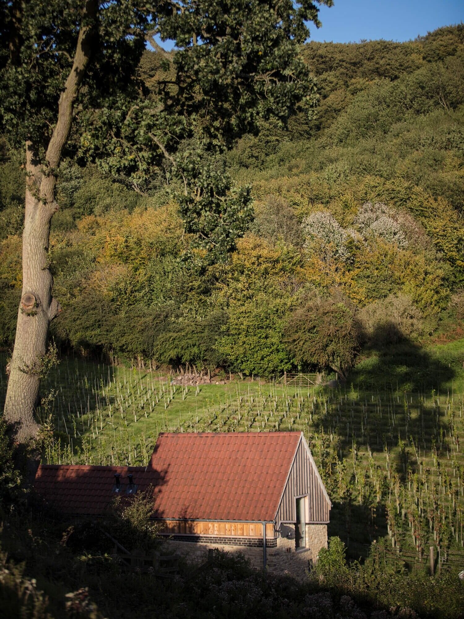 Barn-Conversion-Architect-Cotswolds-08.jpg