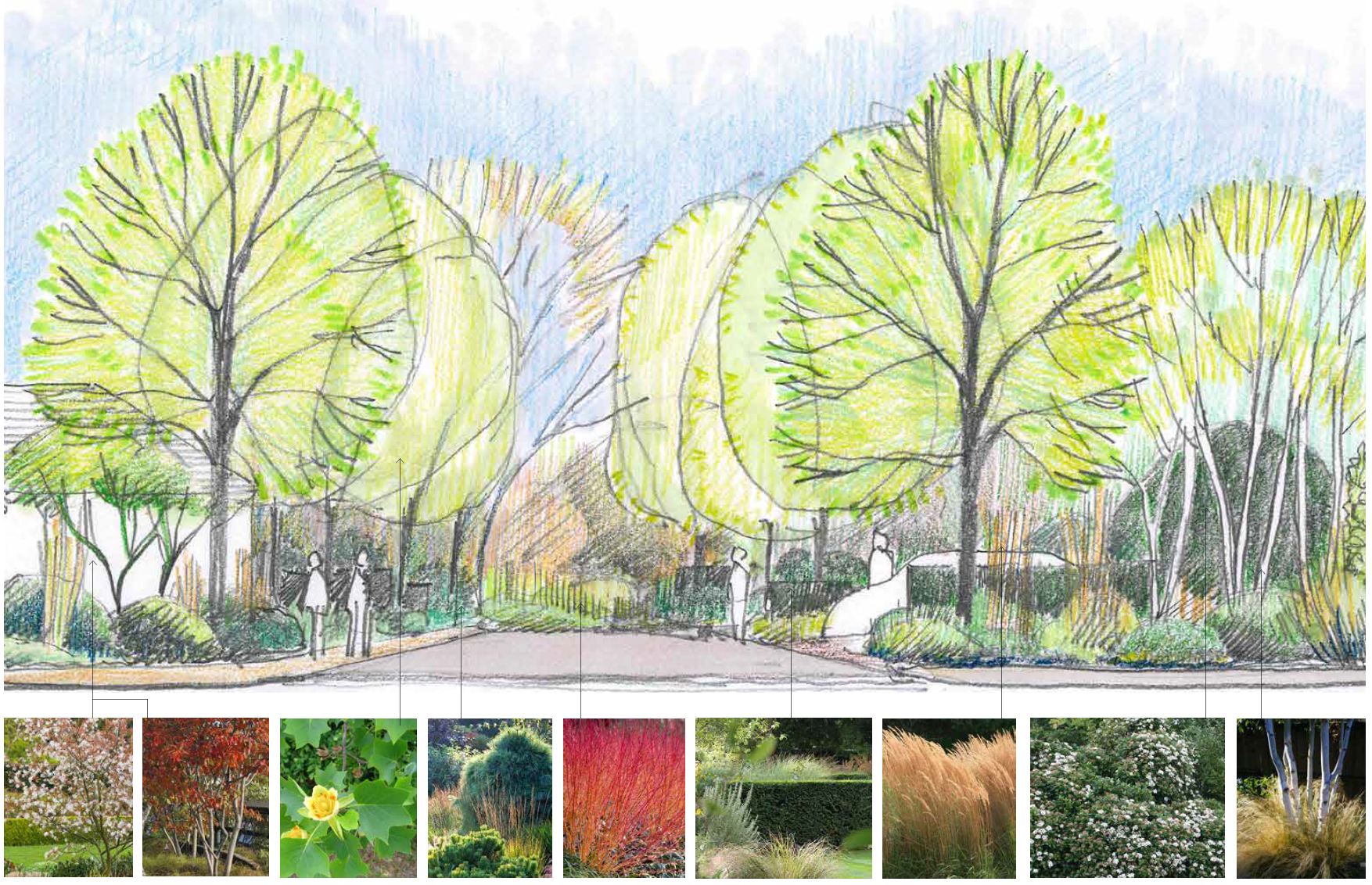 From Car Lot to Canopy: Breathing New Life into The Dog &amp; Duck
