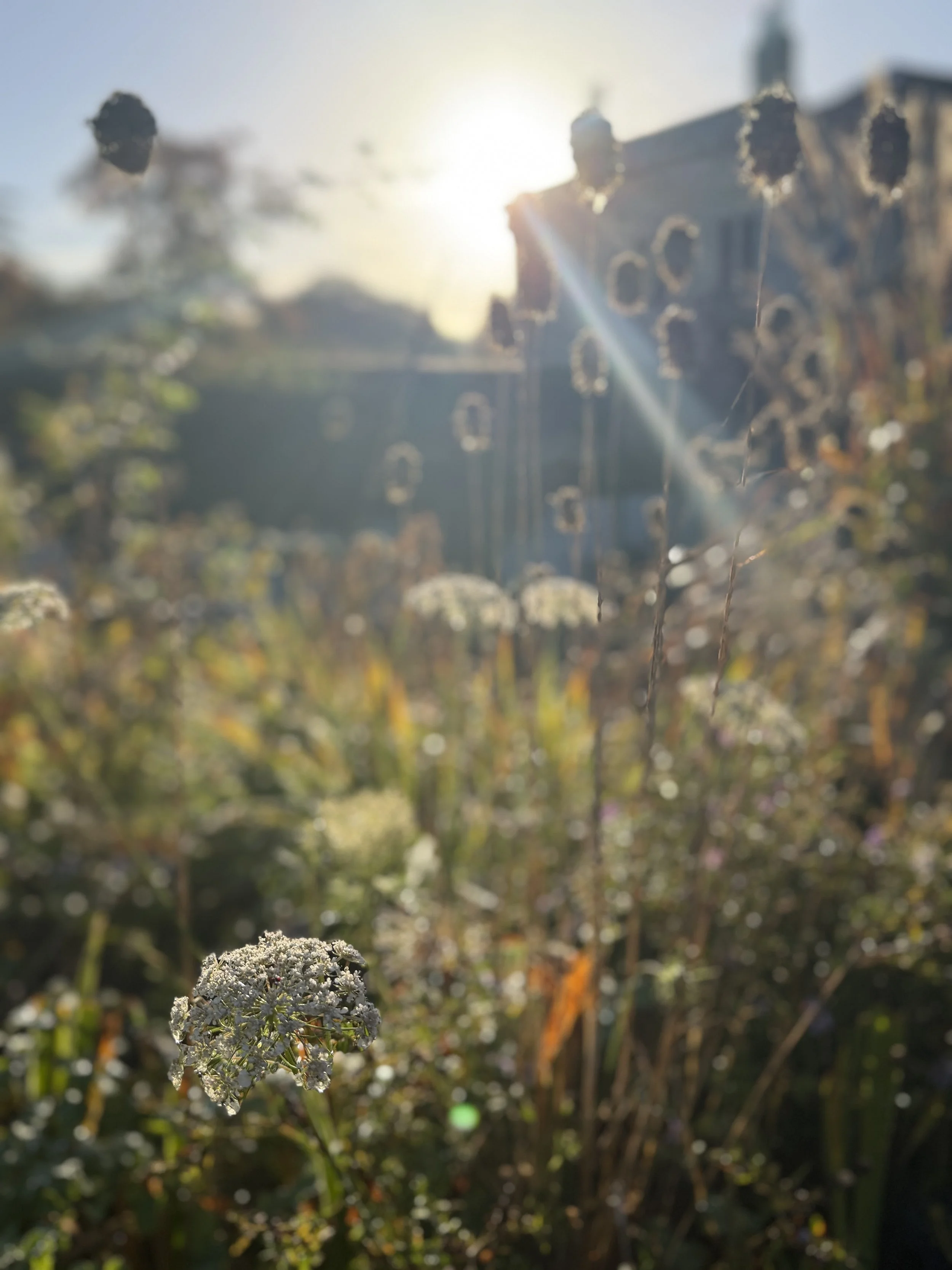 IMG_9078.jpeg
