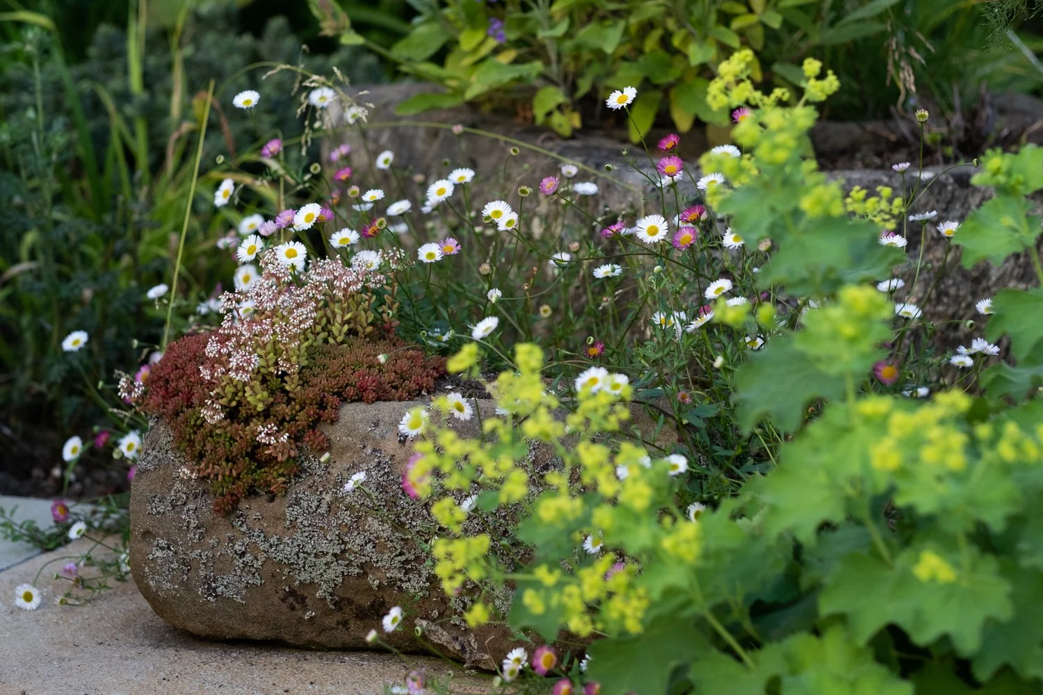 Your Garden, Reimagined: Spring Tips for a Beautiful Boost