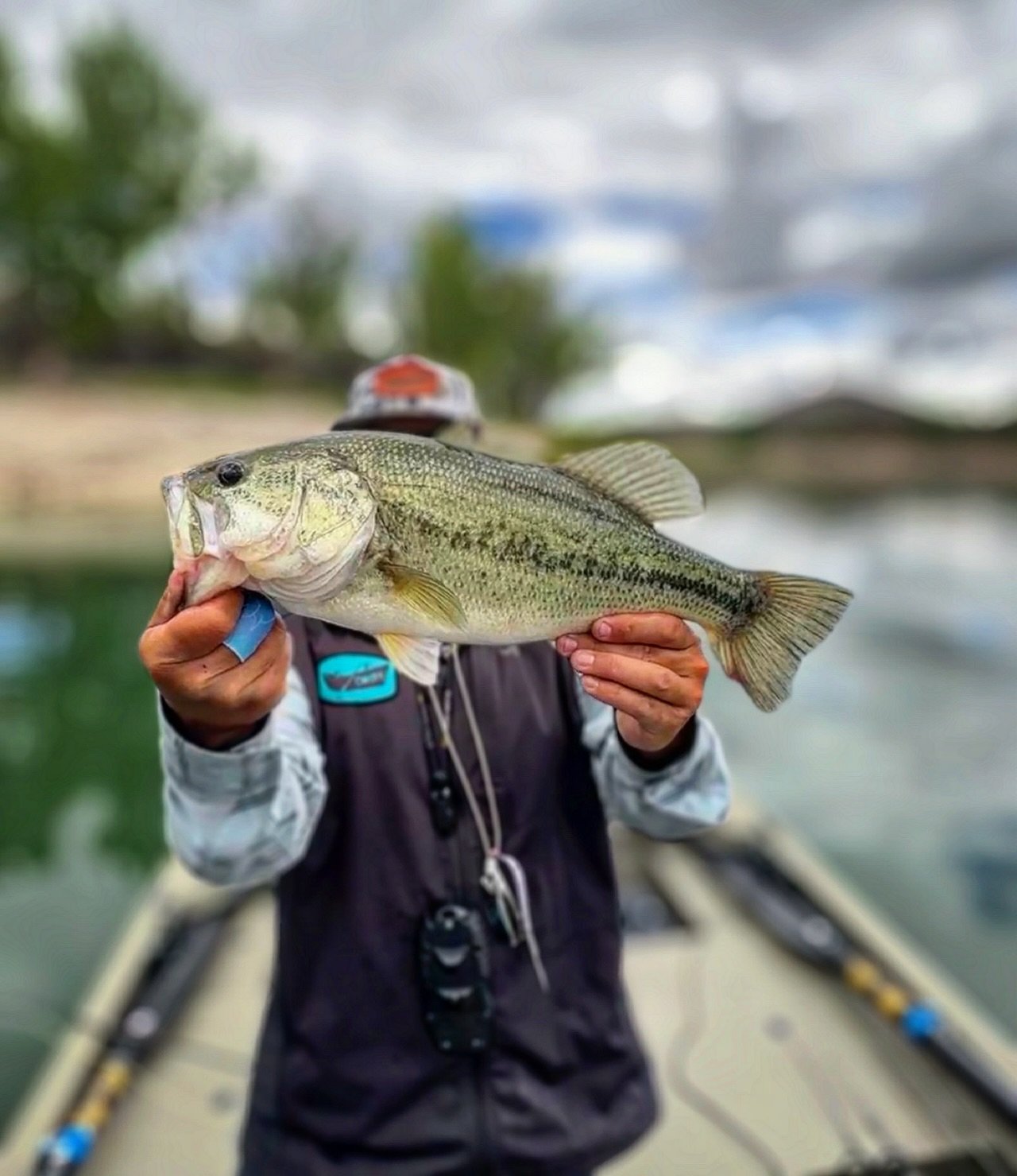 BASS ON THE FLY = LOVE 💚 💚 💚 #cwsff #coloradowestslopeflyfishing #nature #smile #travel #flyfishing #fishing #trout #browntrout #fish #rainbowtrout #beautiful #bassfishing #happy #coloradoflyfishing #fun #colorado #flyfishcolorado 🎣 #catchandrele
