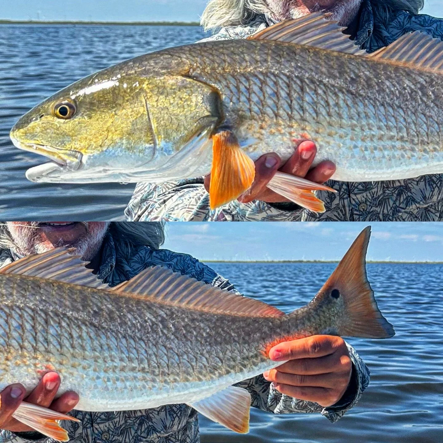 Redfishin&rsquo; October Style 🧡💦 🎣 🐟 @capt_will_townsend #cwsff #coloradowestslopeflyfishing #nature #smile #travel #flyfishing #fishing #trout #browntrout #fish #rainbowtrout #beautiful #bassfishing #happy #coloradoflyfishing #fun #colorado #fl
