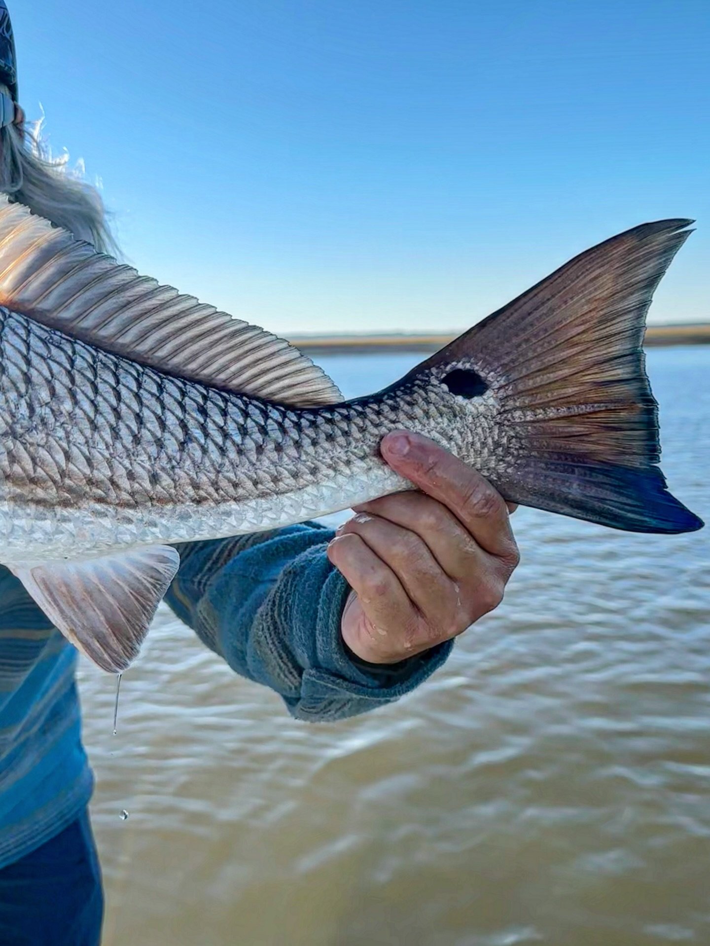 Fun to be back in SC 🌴🌙 chasing reds with @citadelfishing &amp; @thegurz970 🧂💦 🎣 #cwsff #coloradowestslopeflyfishing #nature #smile #travel #flyfishing #fishing #trout #redfish #fish #redfishonfly #beautiful #bassfishing #happy #coloradoflyfishi