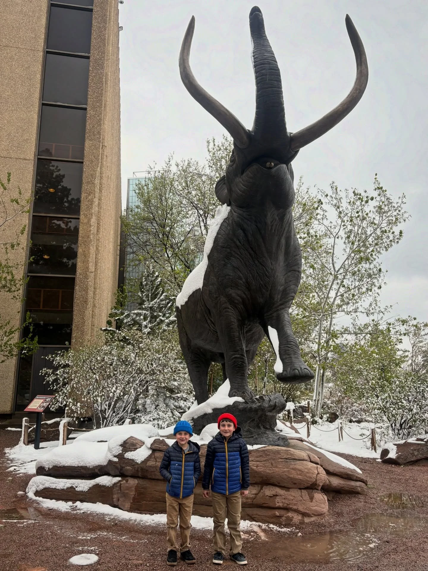 From 70 degrees one day to 30&rsquo;s the next, these boys don&rsquo;t care 🩵 💙 Having some fun in the &ldquo;Mile High&rdquo; 🦣 ❄️ 😀 @reebs16 @rebeccalynmckenna @denvermuseumns @visitdenver #wsp #woolymammoth #denver #colorado @visitcolorado #mu
