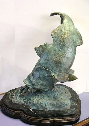 Striped Bass Feeding