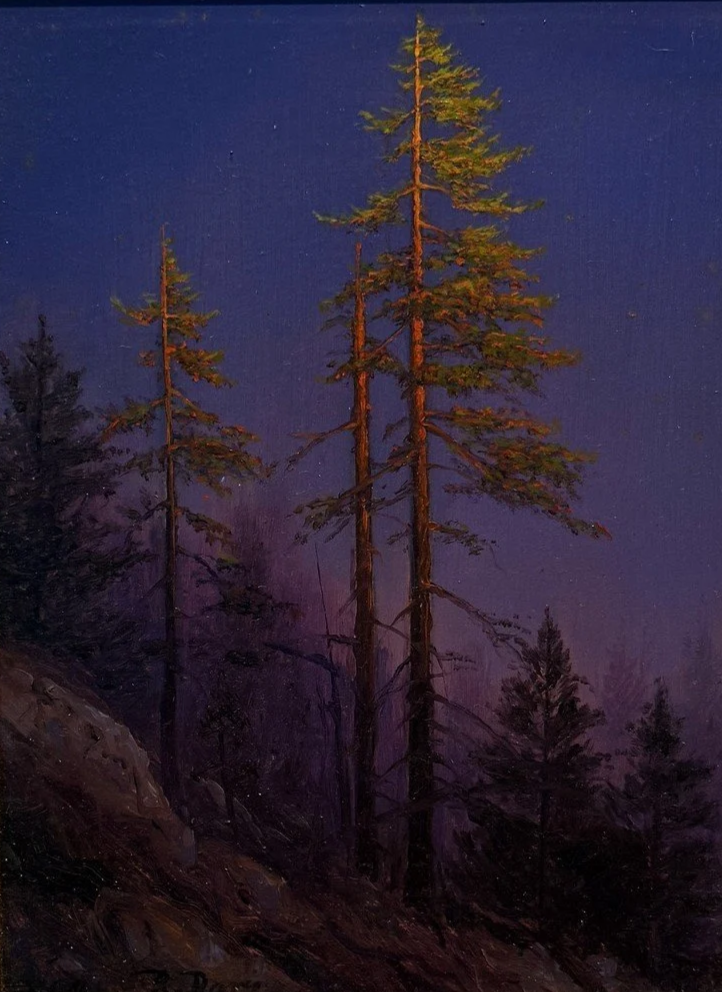 Last Light at 9,000 feet, Yosemite, California