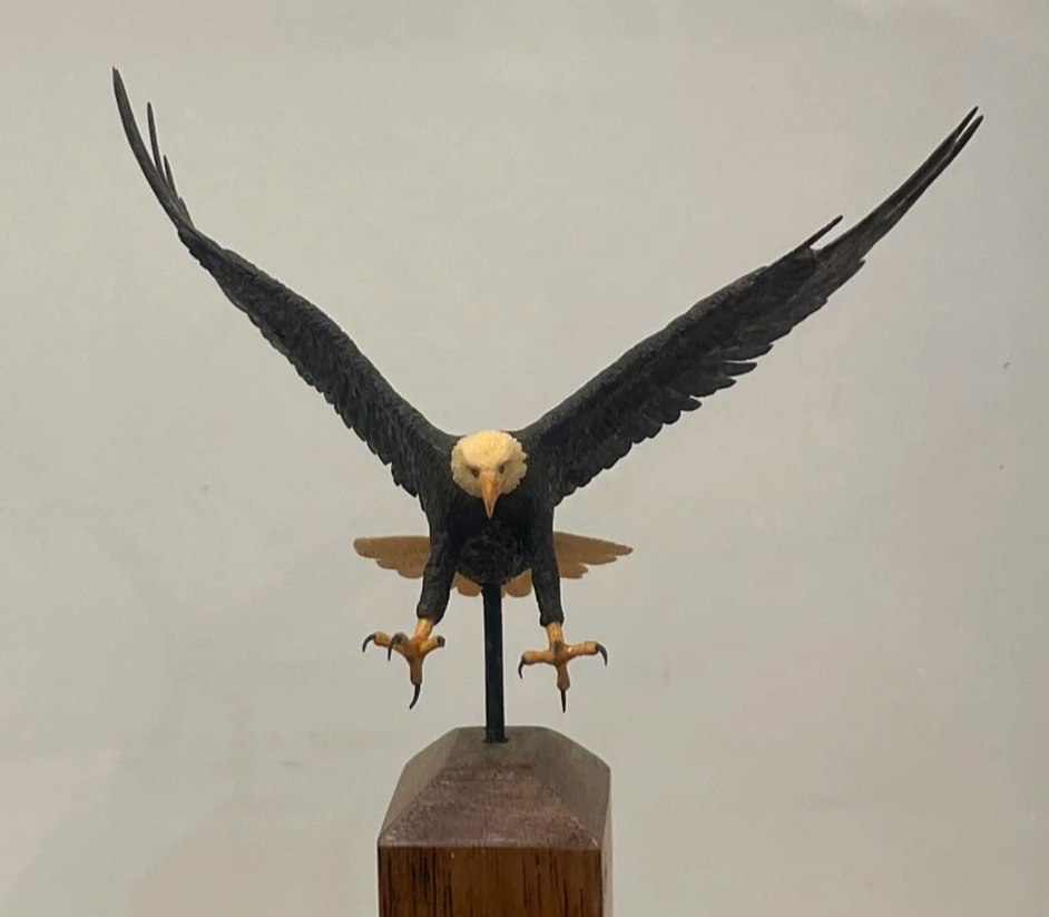 North American Bald Eagle