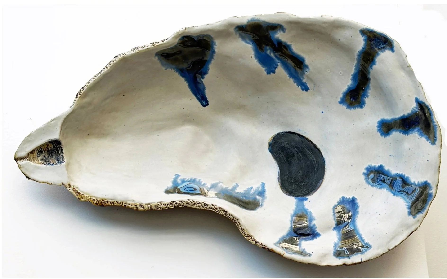 Oyster Shell