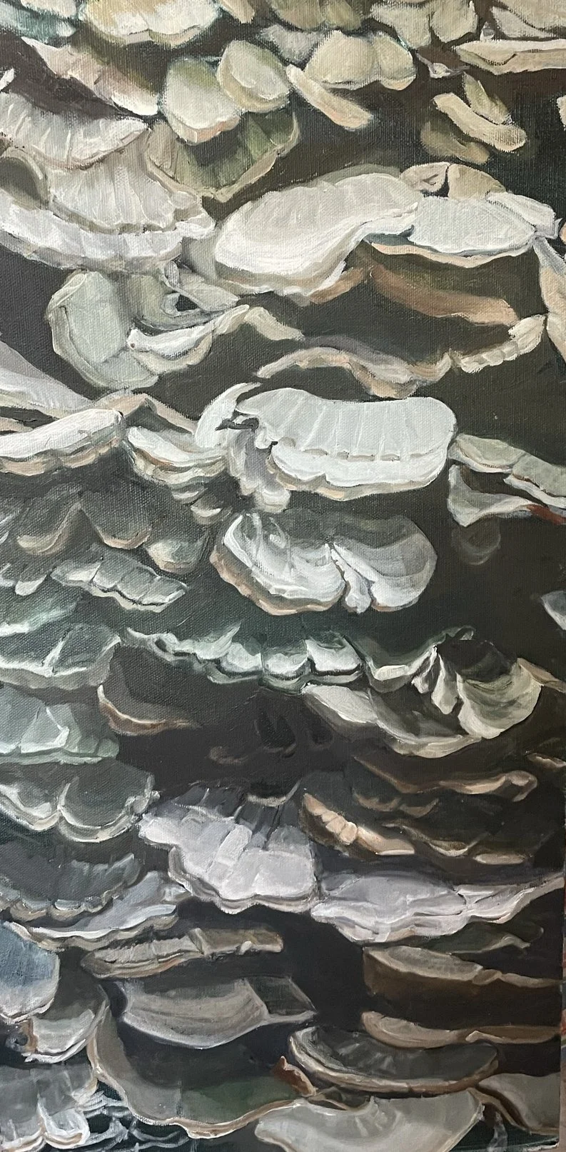 Artist Patrica Warfield through the Years