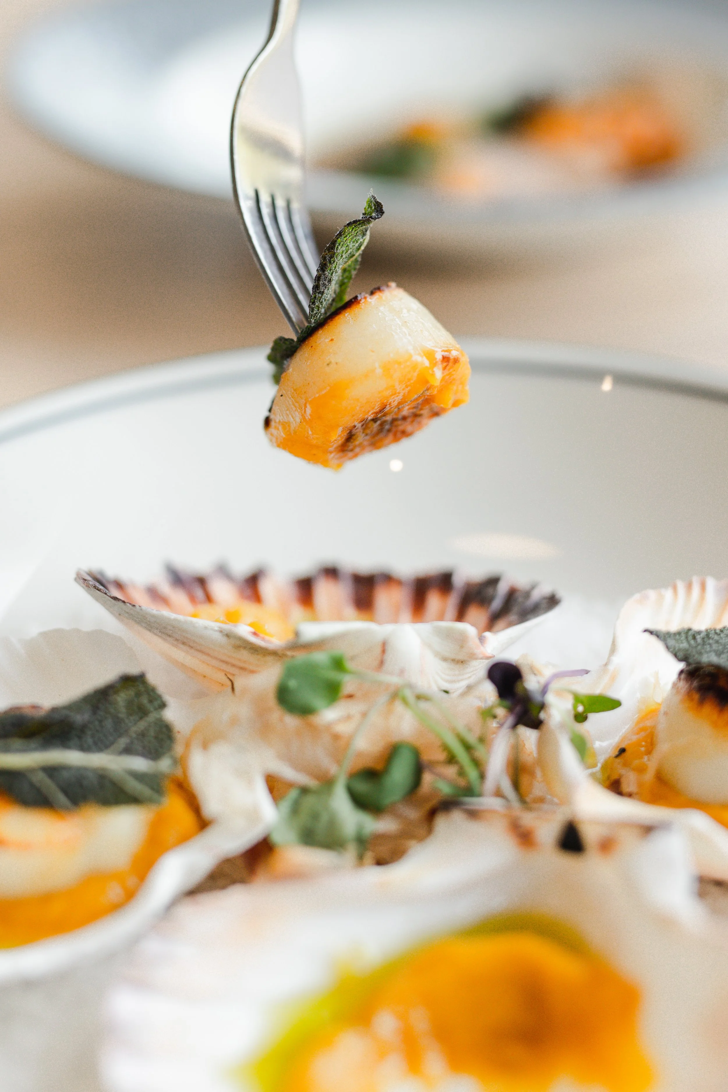 Photo 27-1-2022, 4 56 18 pm.jpg