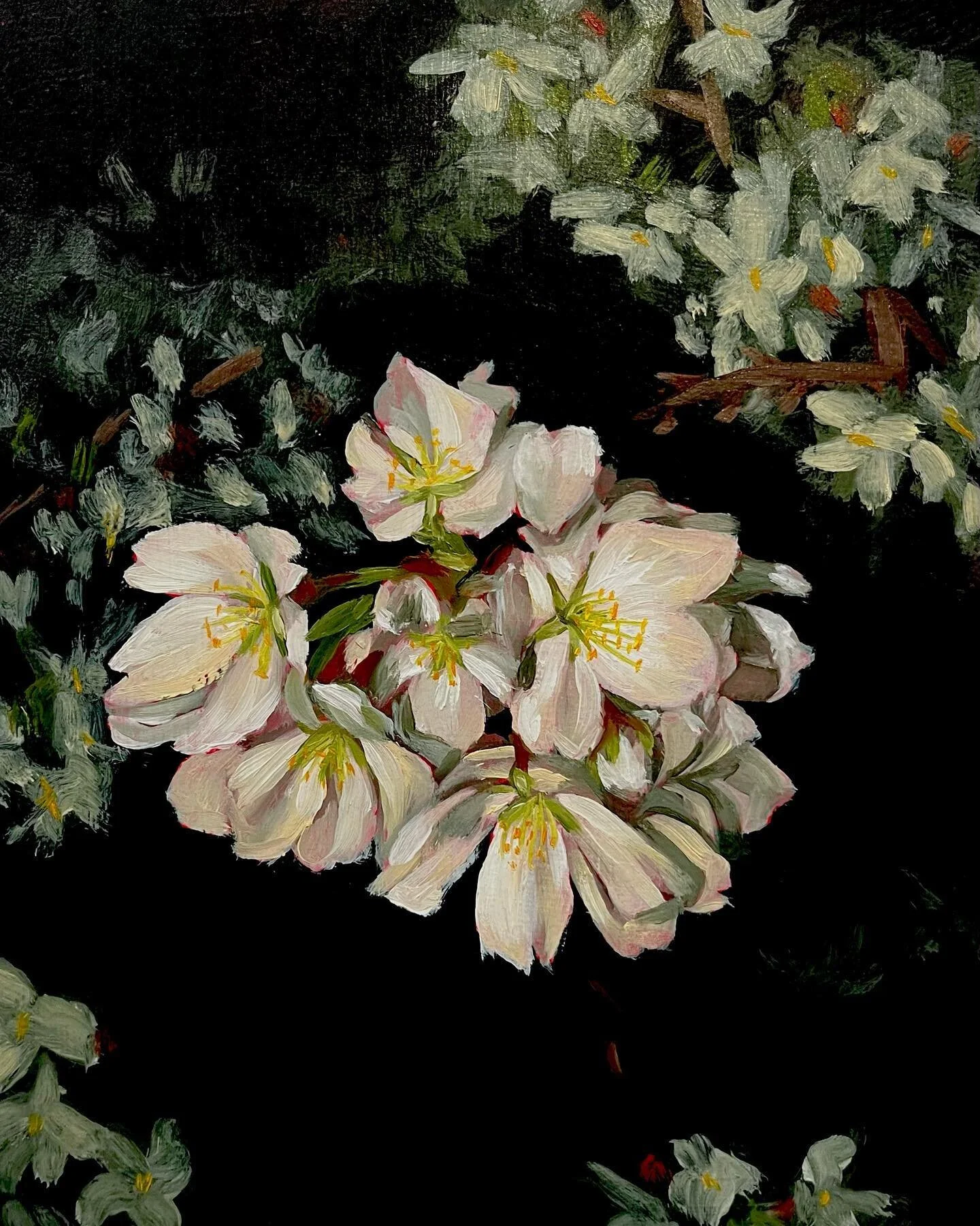 &ldquo;night blooms&rdquo; // 8 x 10 in oil on board // can&rsquo;t believe i forgot to post this one! it&rsquo;s of my beloved cherry tree <3
- this will be for sale in my upcoming show july 21!
-
-

#painting #painter #youngpainter #artist #youn