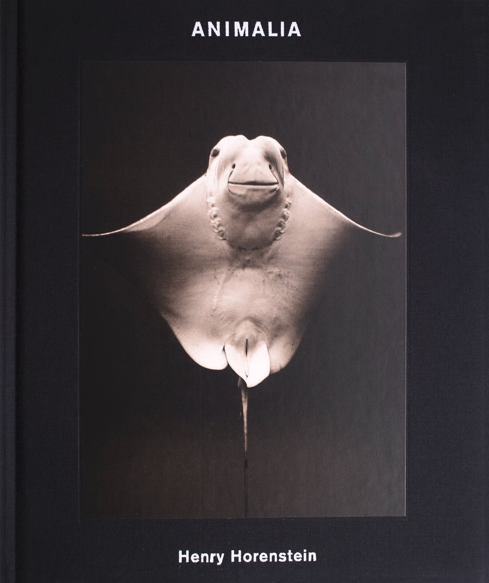 Animalia