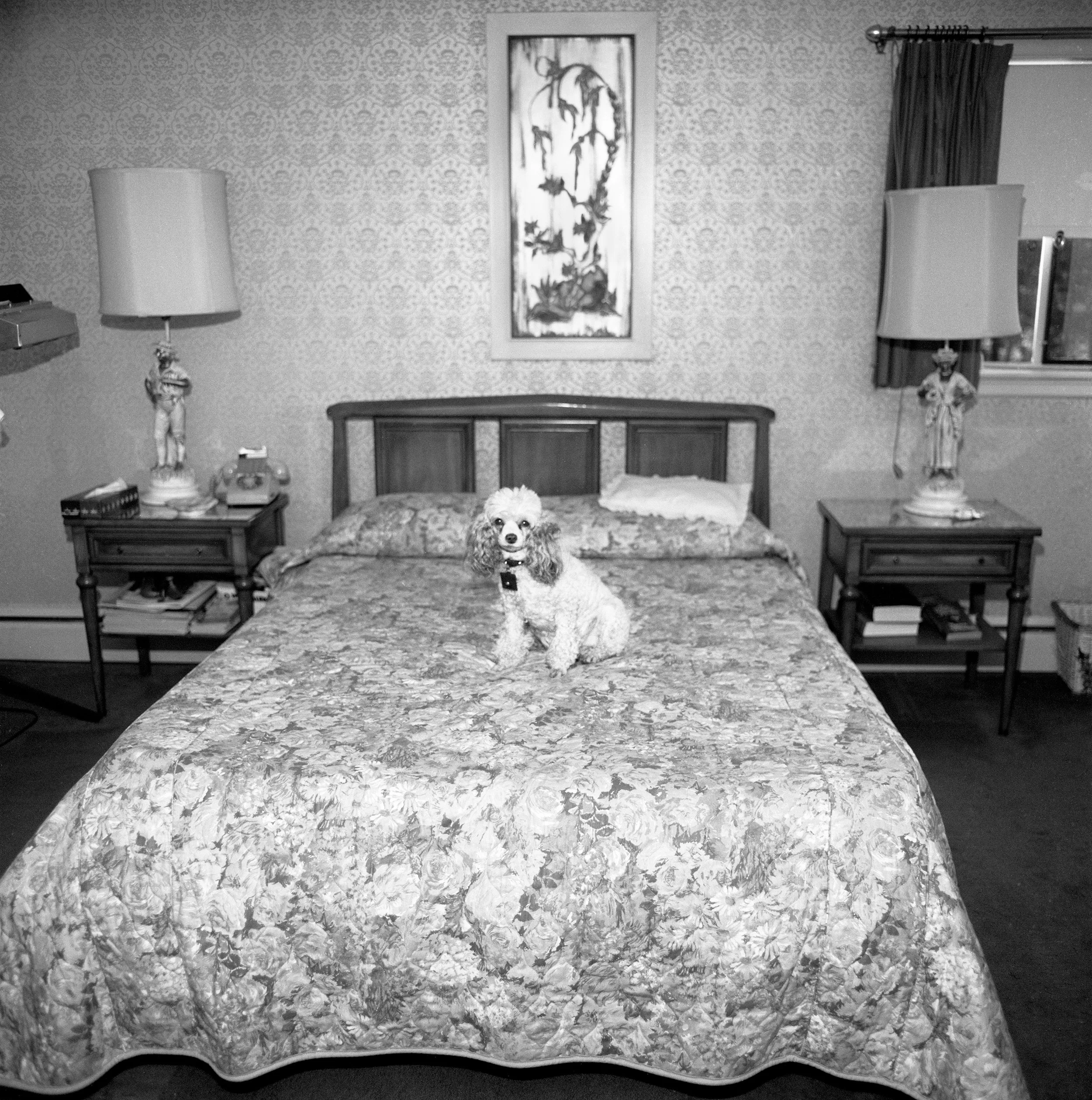Chammie, Bedroom, Newton, MA, 1974