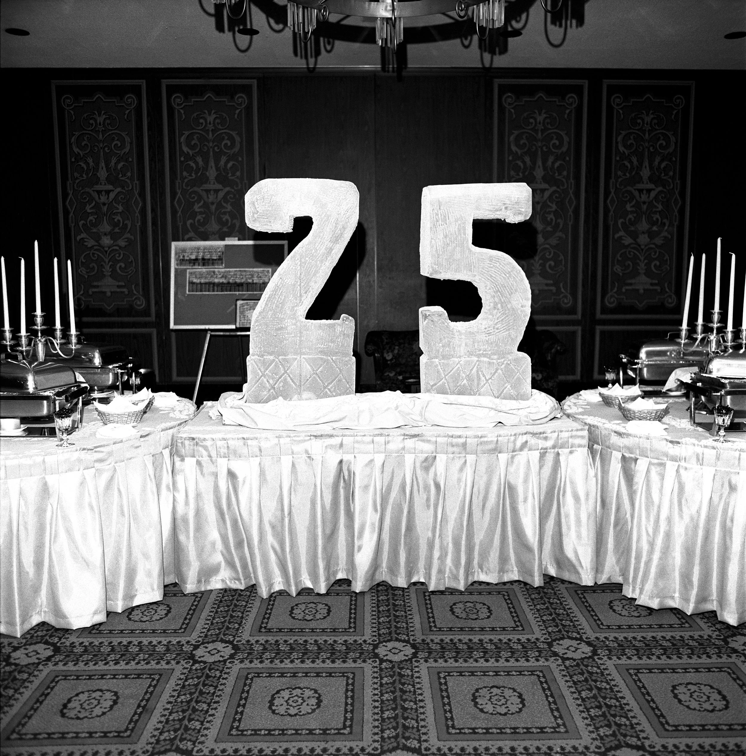 Newton High School 25th Reunion, Chestnut Hill, MA, 1973