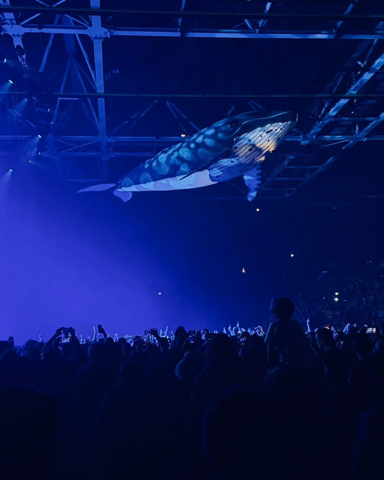 Week 49

It seems like Philip is on some sort of whale safari in France 🧐 As crew chief lx he&rsquo;s been visiting no less than 5 cities together with Gojira last week. 
A whole bunch of us has been out and about doing fitup of lamps together with 