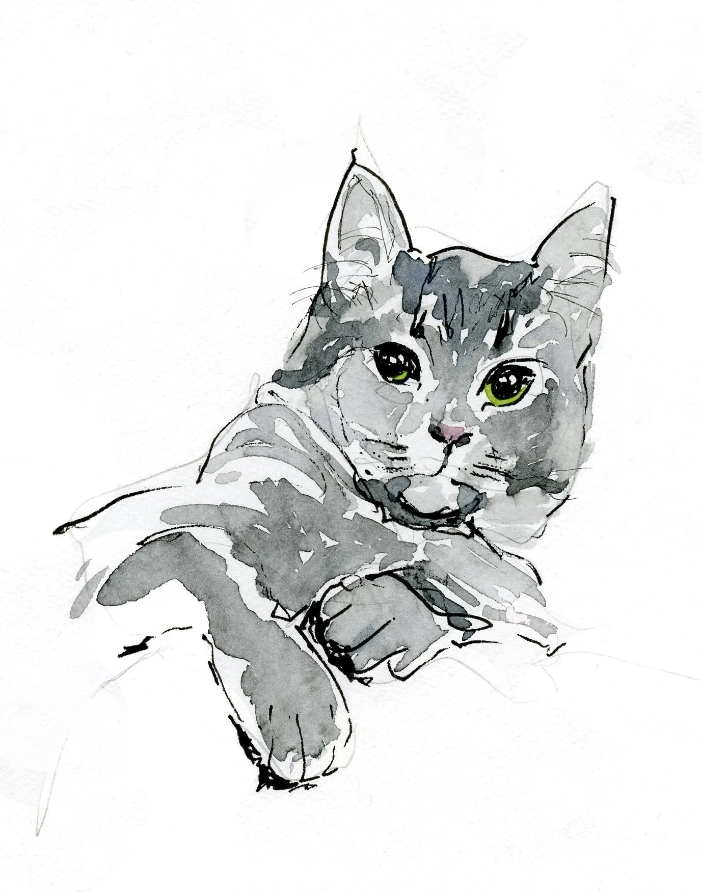 Pet Portraits
