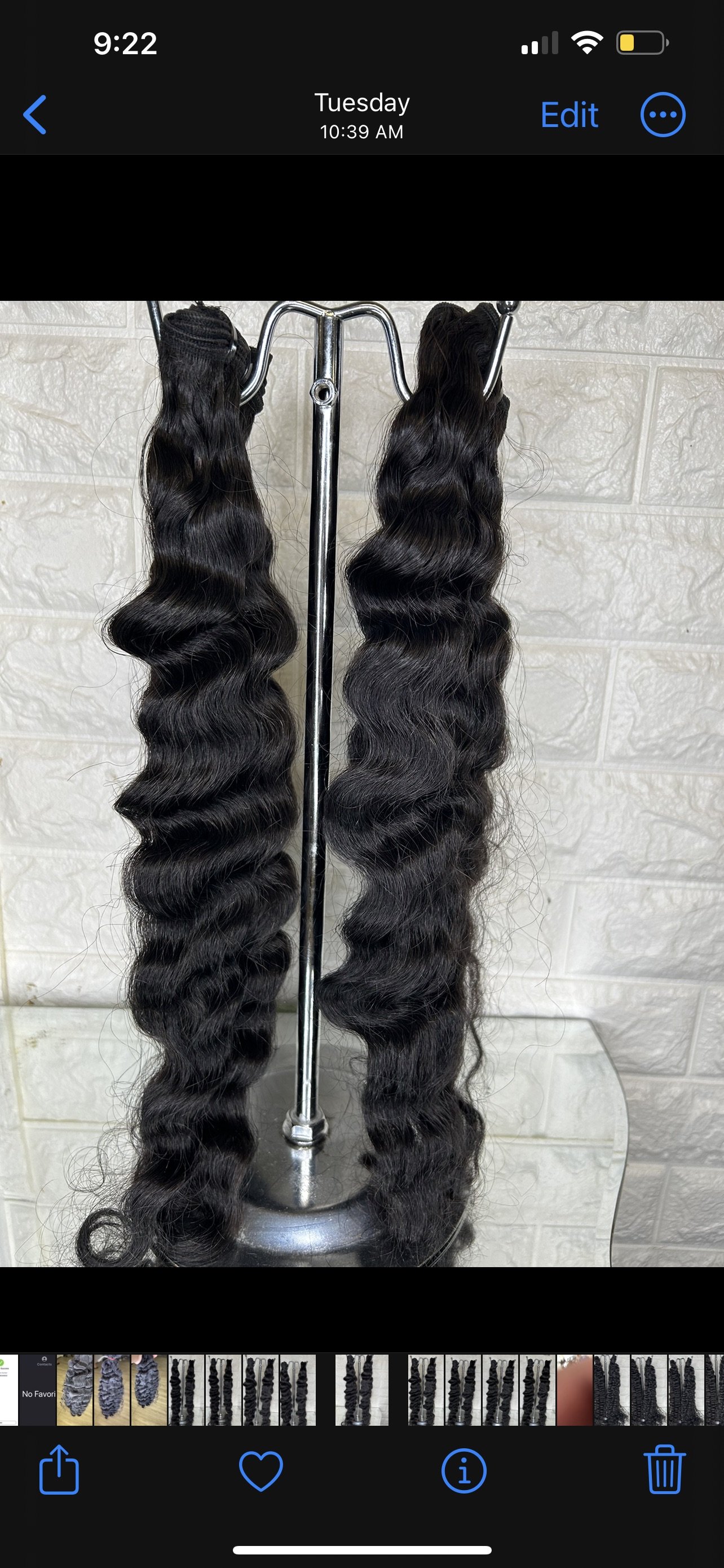 Cambodian Curly