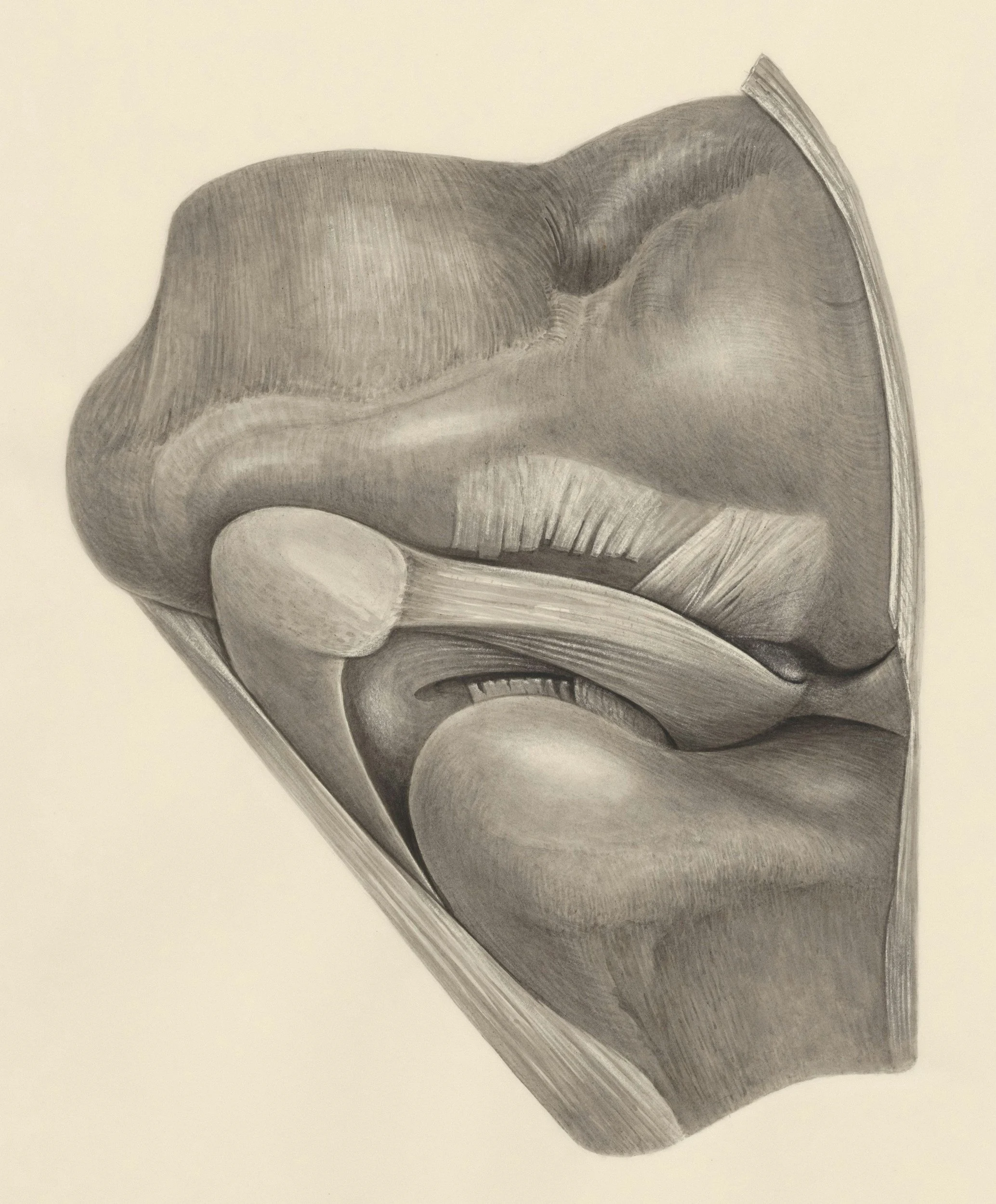 The 1 real Reason you shouldn’t sing