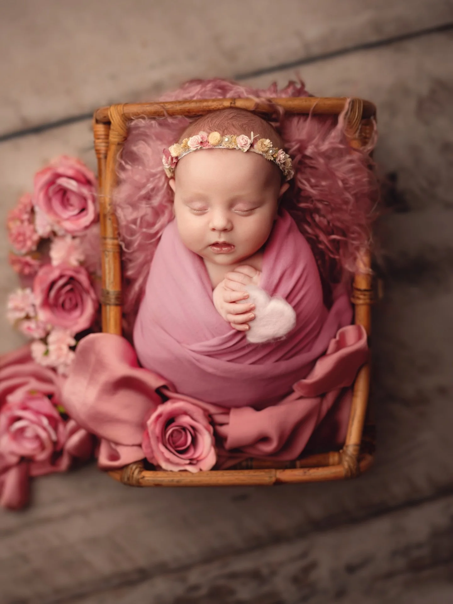 💗 S&eacute;ance Nouveau-n&eacute; 💗

Ce d&eacute;cor tout rose va &agrave; merveille &agrave; cette petite poup&eacute;e !! J&rsquo;adore quand j&rsquo;ai carte blanche pour la cr&eacute;ation de vos d&eacute;cors 💗

🌷 Arizona artisan photographe