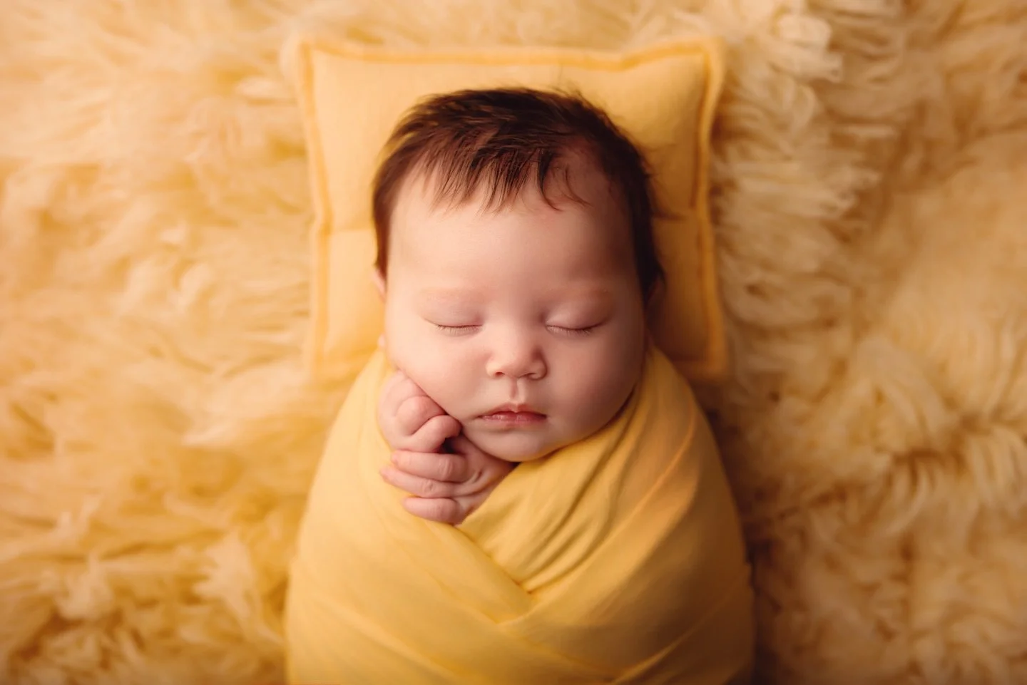 J&rsquo;adore mes b&eacute;b&eacute;s 🤍 

Pour f&eacute;vrier il ne reste que 2 places mes petites mamans ✨

🌷 Arizona artisan photographe - PHOTOGRAPHE AUVERGNE - Grossesse Nouveau-n&eacute; &amp; Famille 🌷

ℹ️ Informations &amp; R&eacute;servati