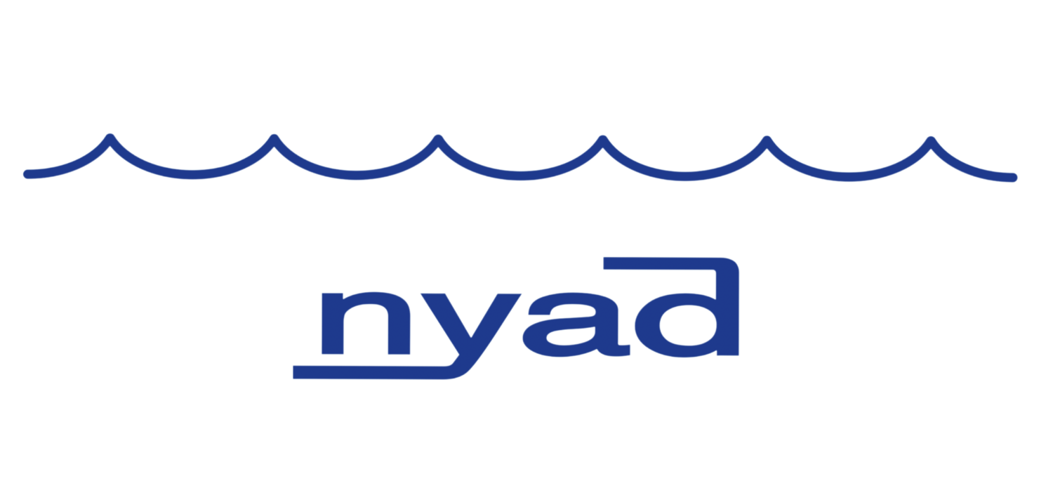 Diana Nyad 