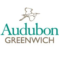 Audubon Greenwich logo with a flying bird above the text.