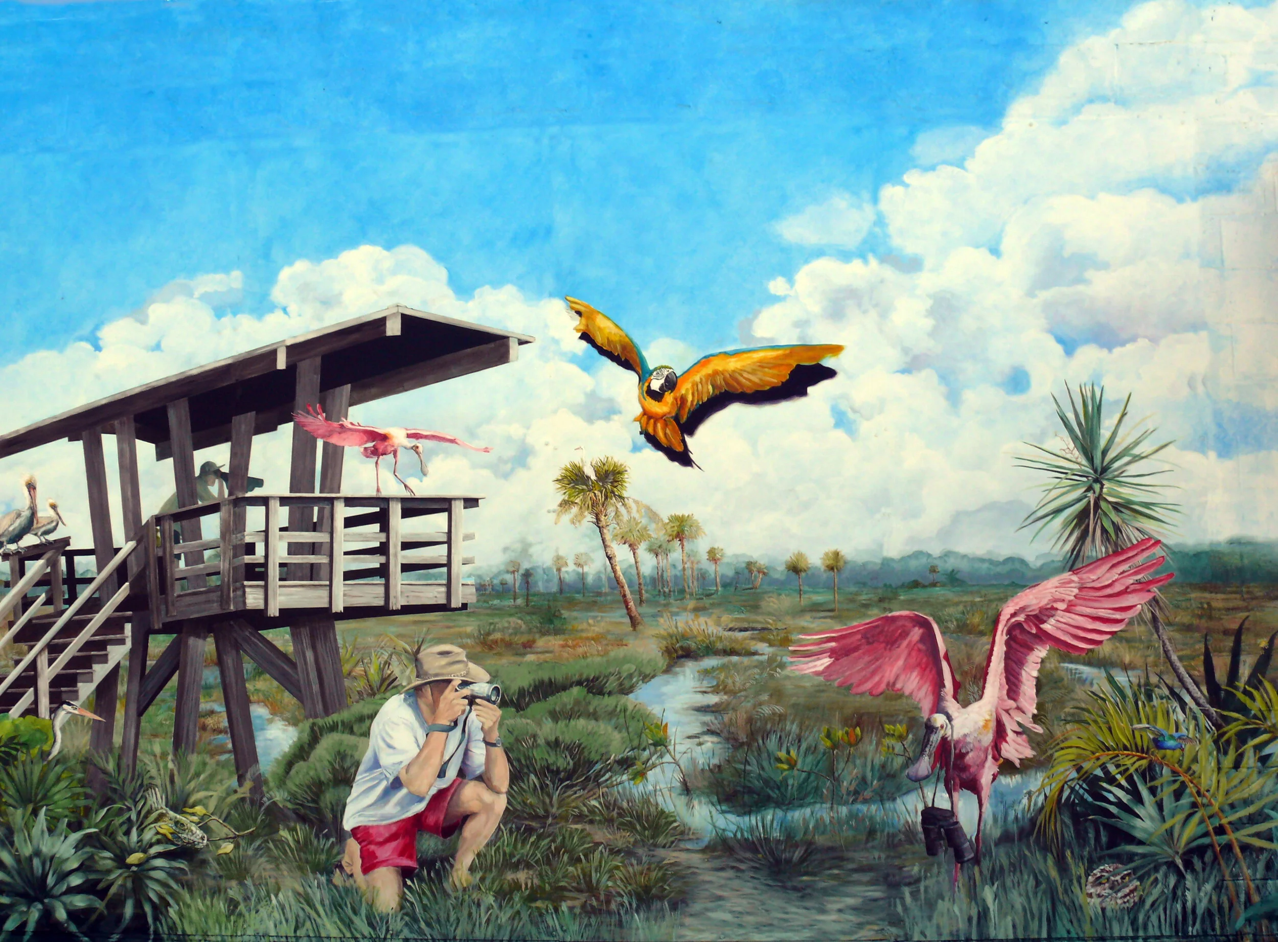 Observations Mural •  15 ' x 85' • acrylic on panels • Delray Beach Camera Shop • Artscape Program
