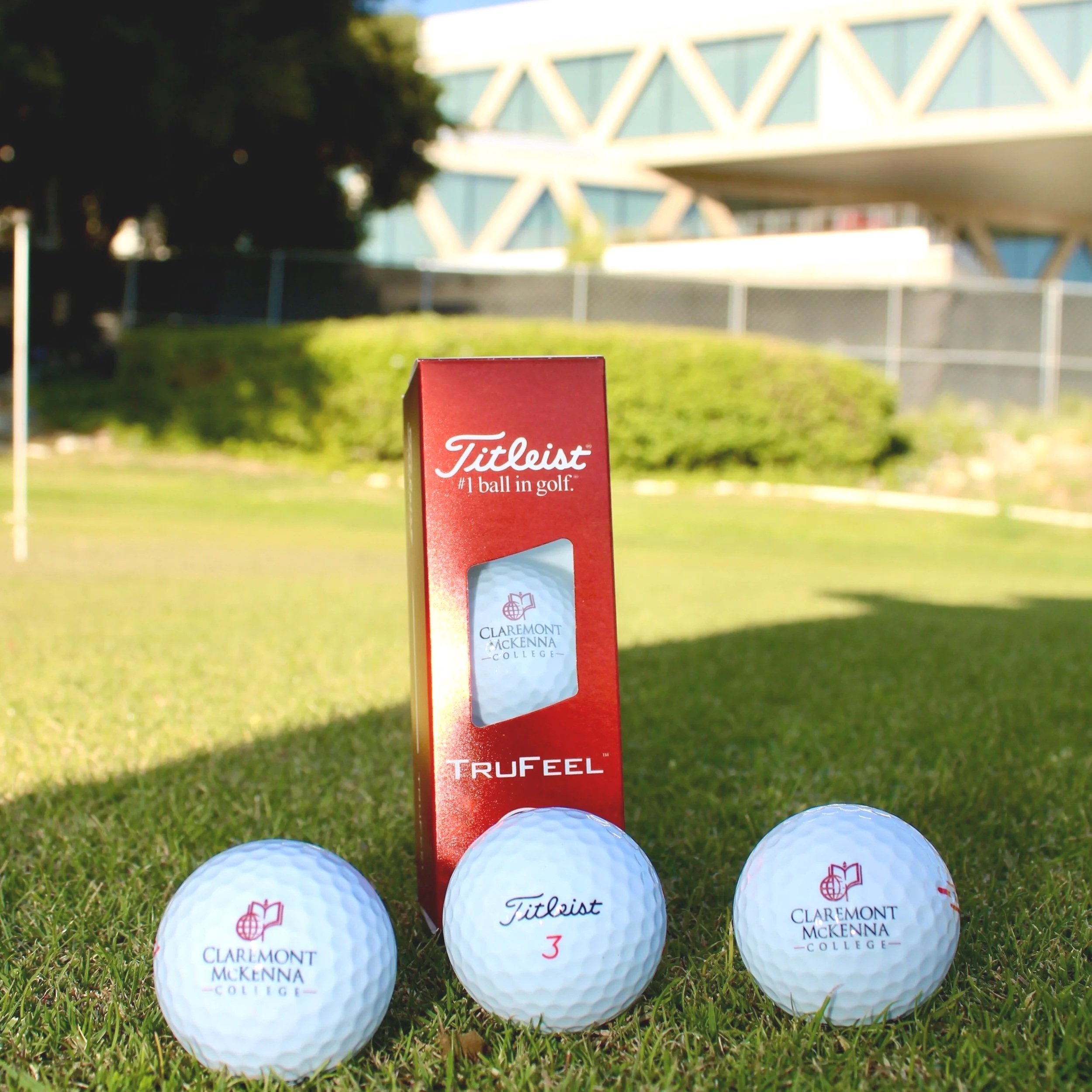 Titleist+Golf+Ball+Set.jpg