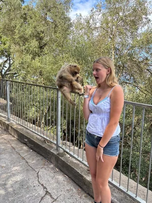 Spain Trip 2025 student experience