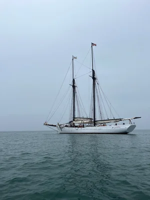 Schooner Trip 2026 photo 3