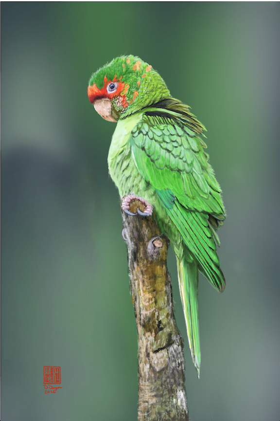 Color Me Green