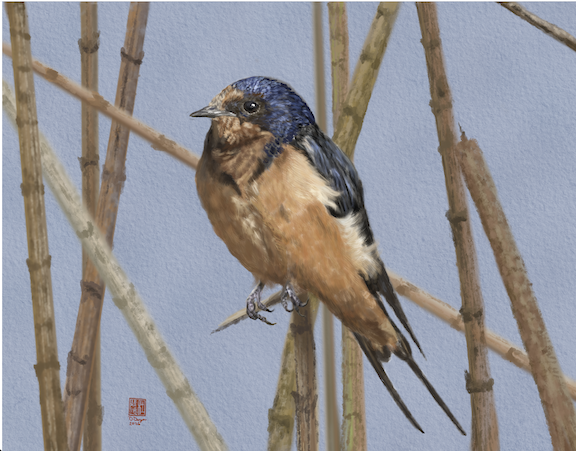 Among the Reeds