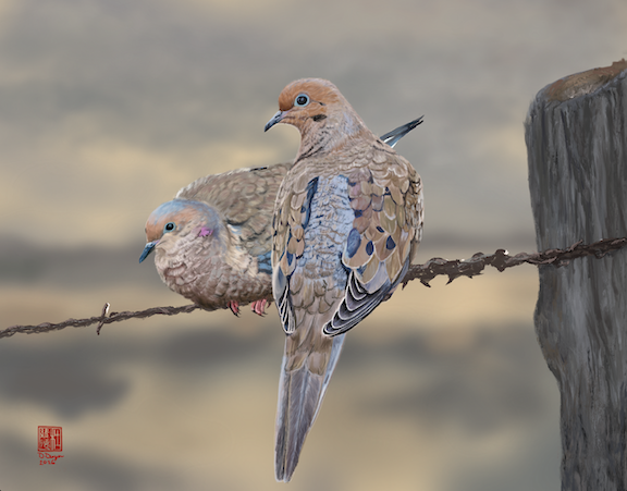 Beauty in the Commonplace