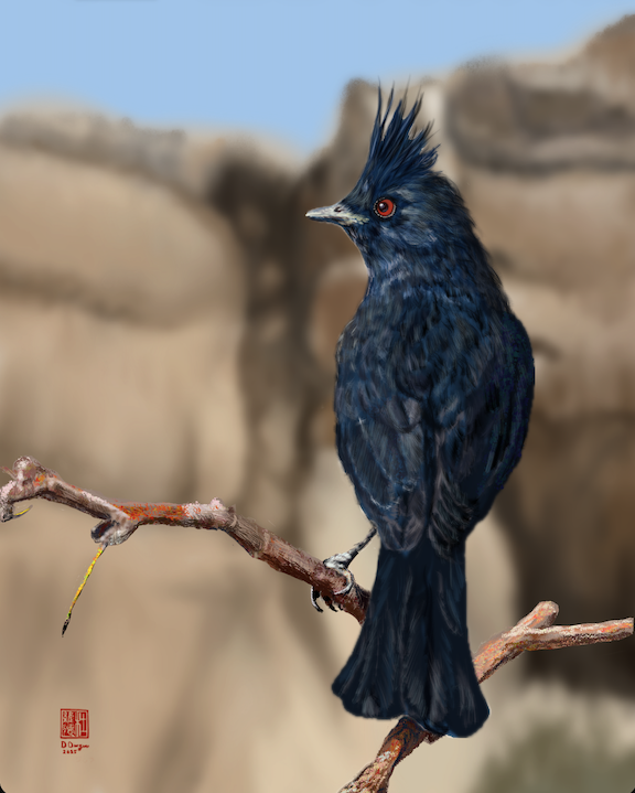 A Desert, but My Desert