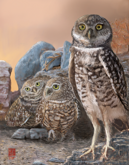 Jeepers, Creepers, Where'd You Get Those Eyes