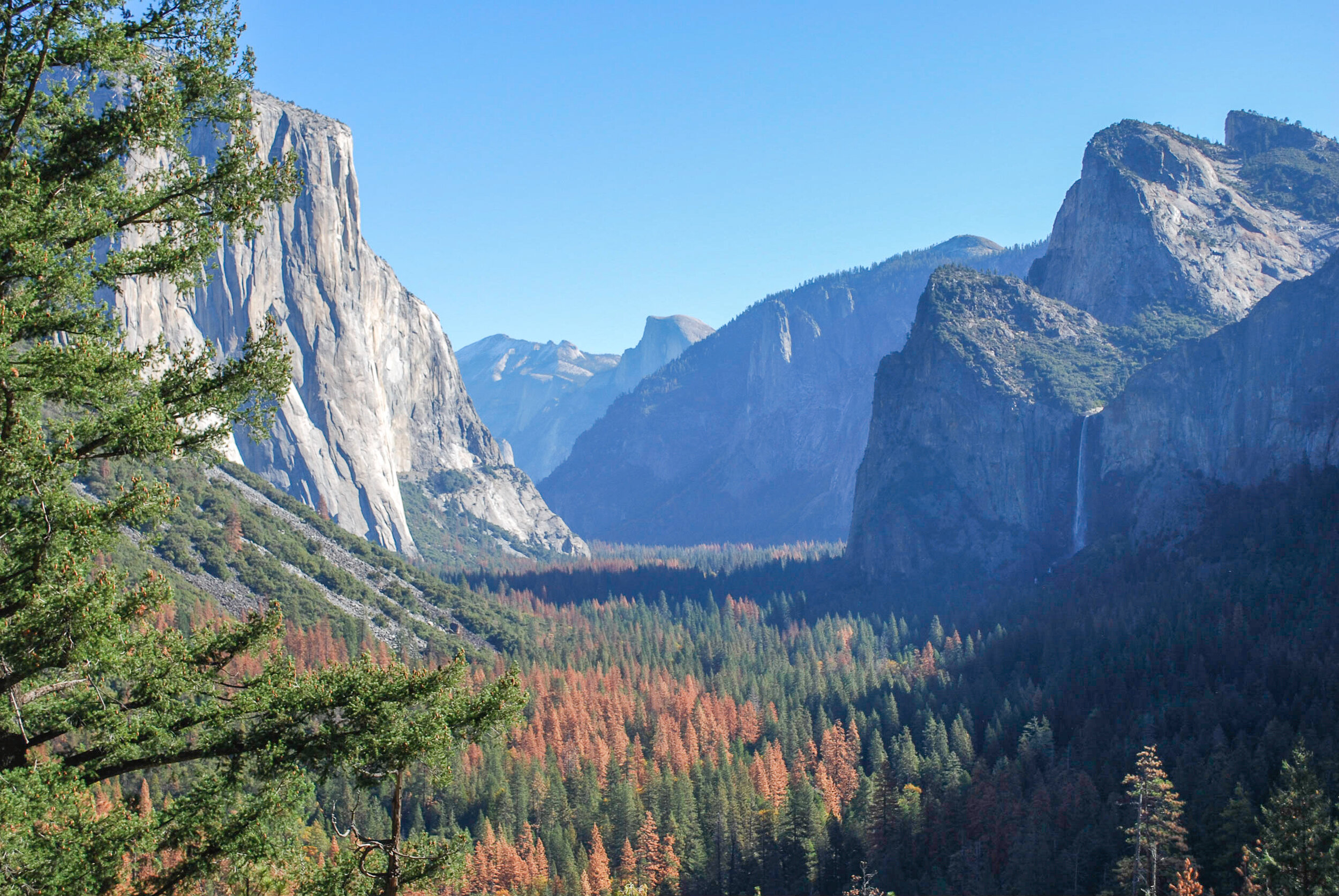 Yosemite _0306.jpg