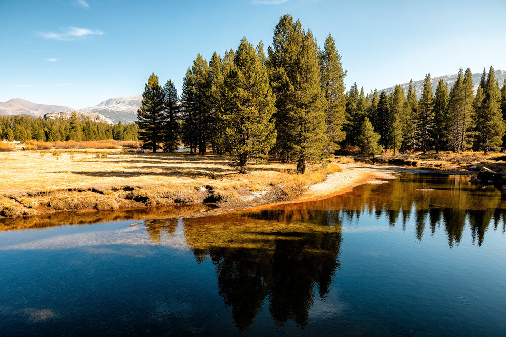 D5 Tioga Pass-342-Edit.jpg