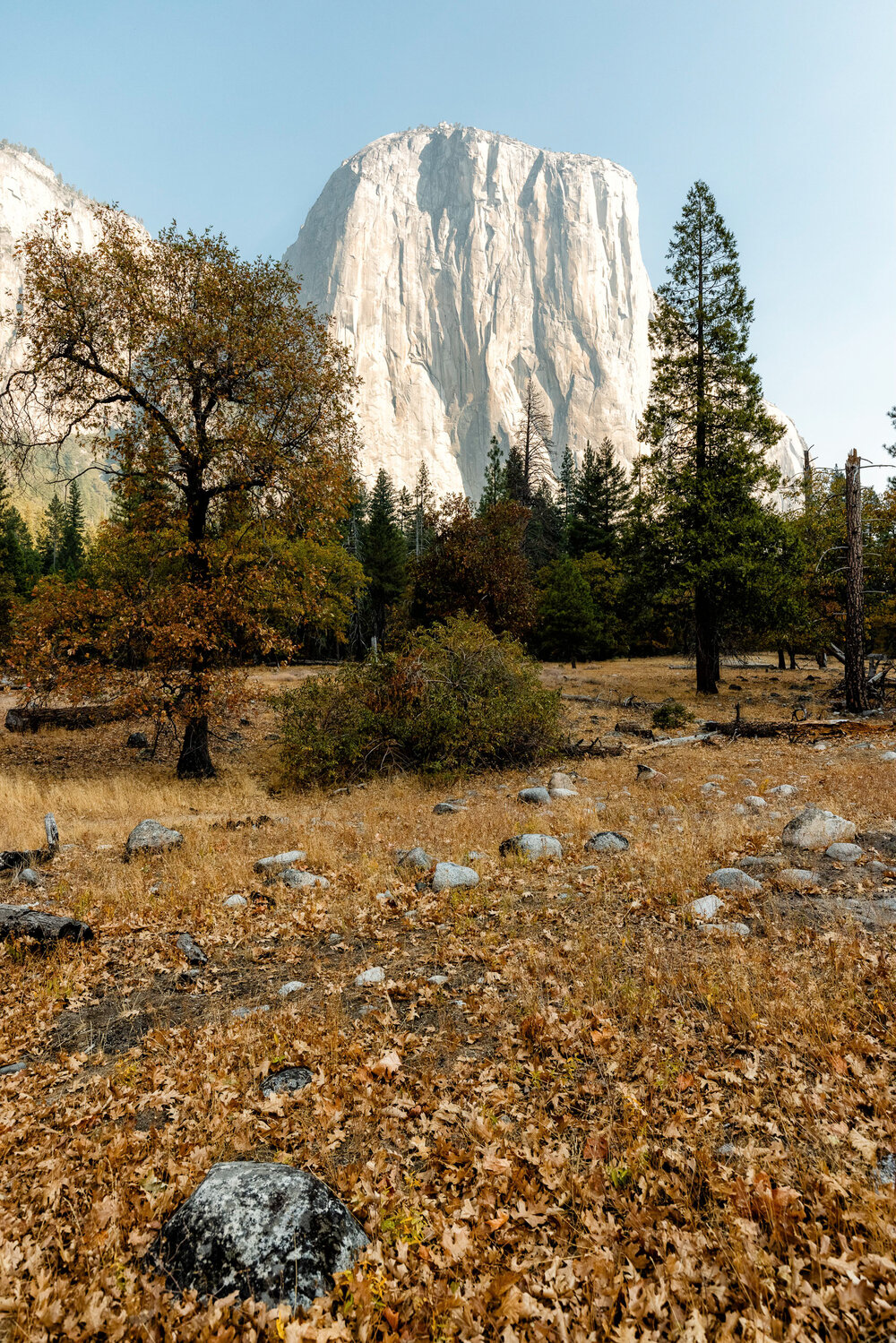 D6 Yosemite-34-Edit.jpg