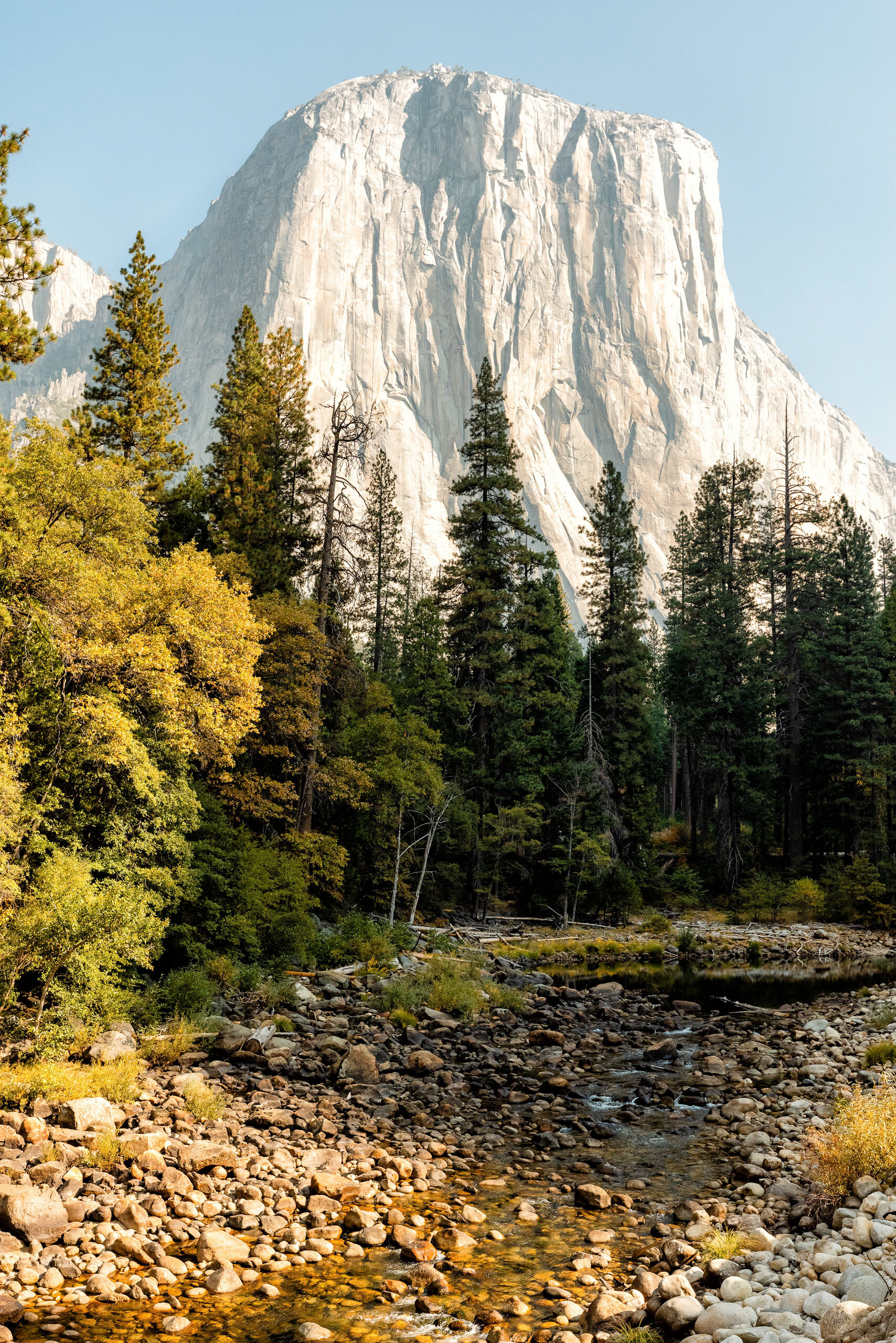 D6 Yosemite-85-Edit.jpg