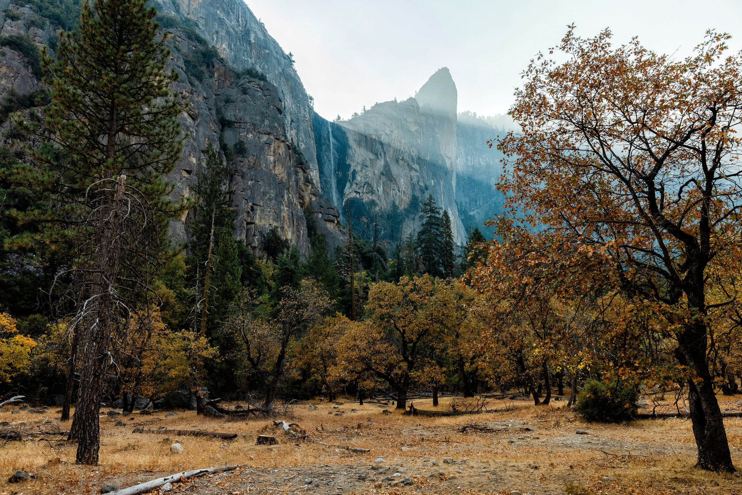 D6 Yosemite-127-Edit.jpg