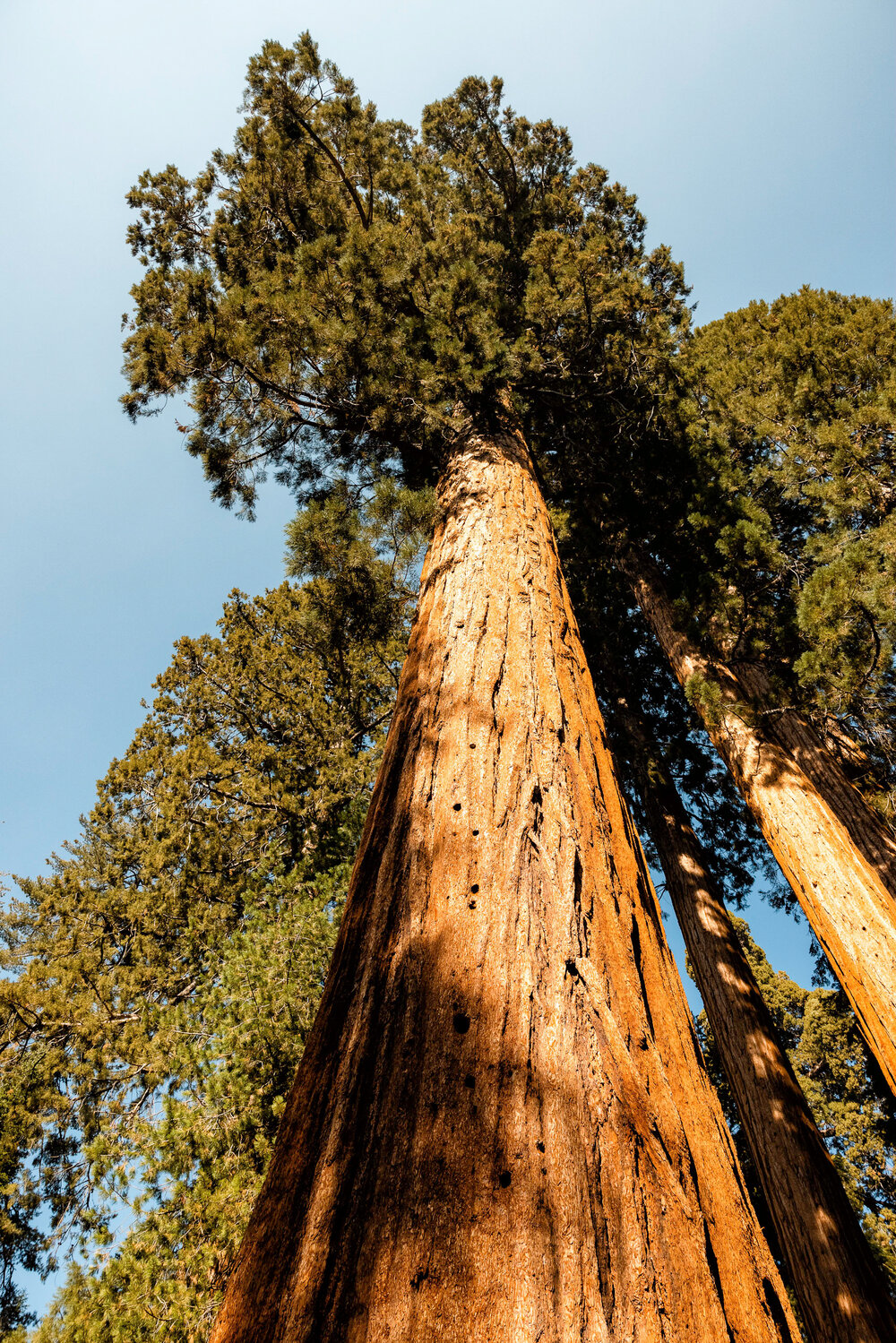 D7 Yosemite National Park-3-Edit-2.jpg