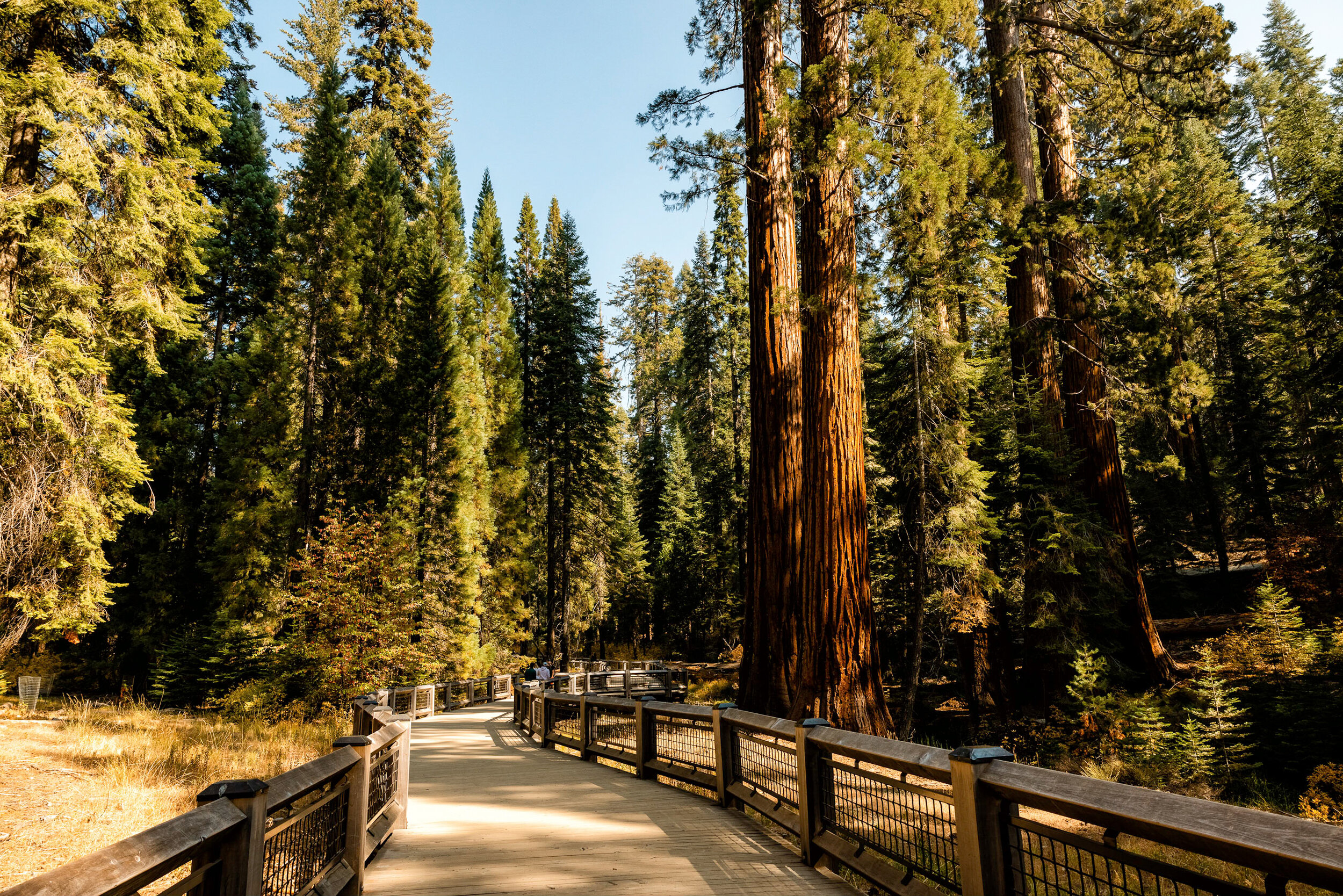 D7 Yosemite National Park-23-Edit-2.jpg