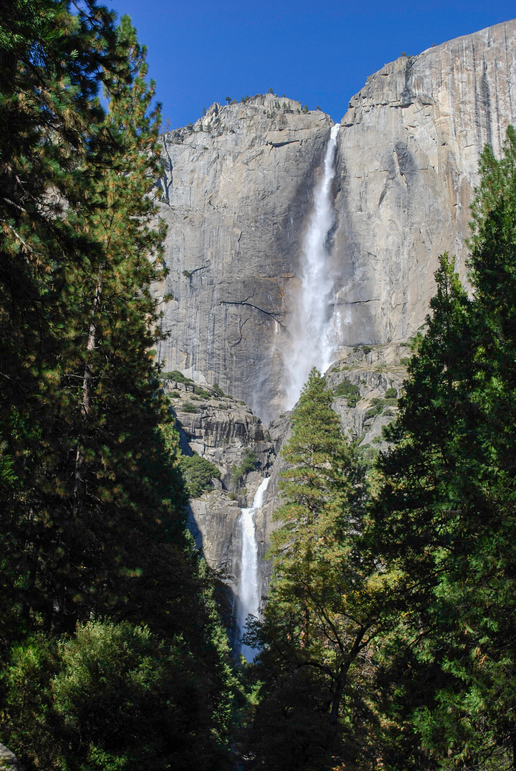 Yosemite _0419.jpg
