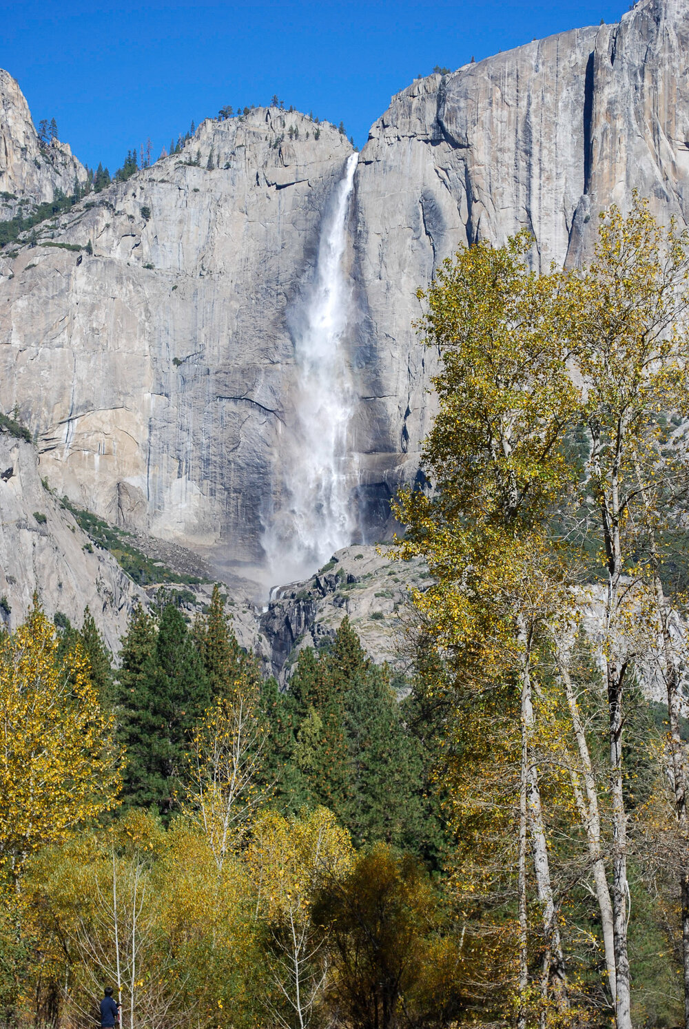 Yosemite _0392.jpg