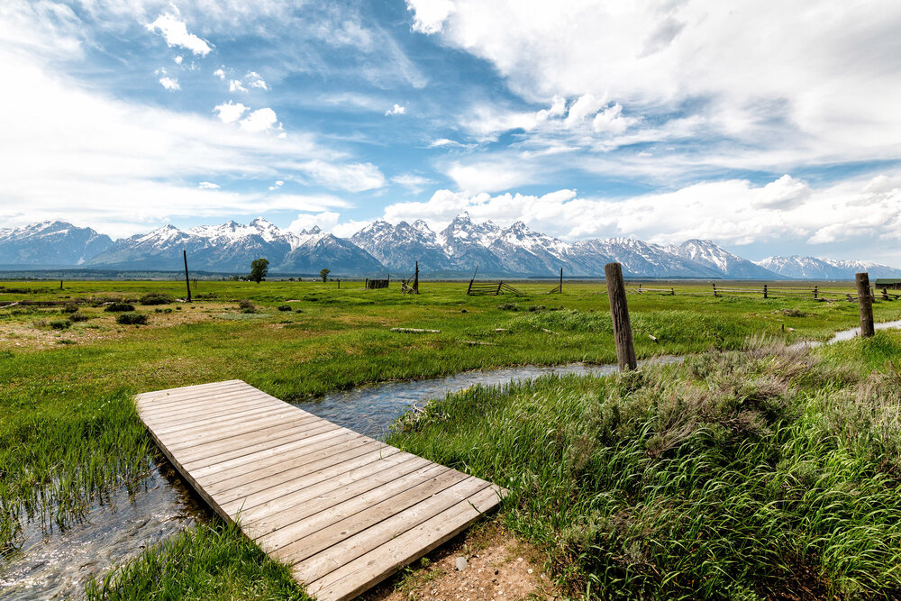 2020 Yellowstone D35D-344-Edit.jpg