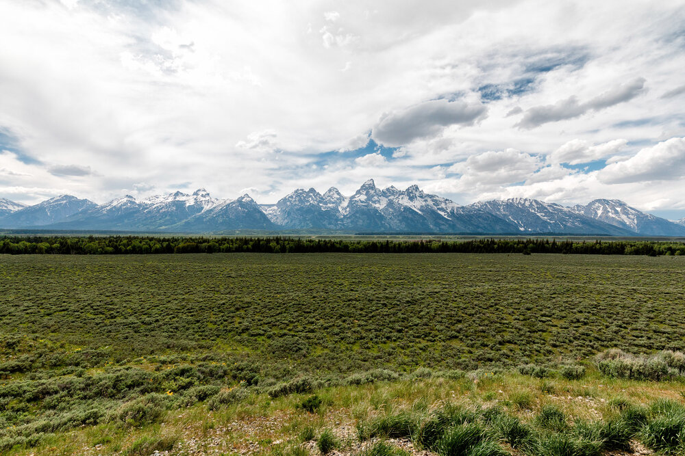 2020 Yellowstone D35D-385-Edit.jpg